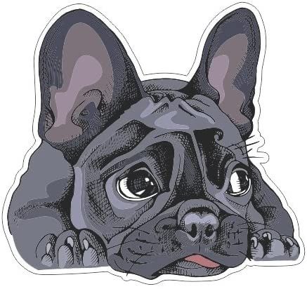 French Bulldog Cartoon, French Bulldog Drawing, Bulldog Wallpaper, Cactus Cartoon, Bulldog Drawing, French Bulldog Art, Bulldog Francese, Vinyl Bumper Stickers, Frenchie Bulldog