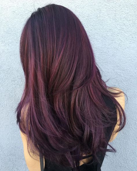 Purple Brown Hair, Red Violet Hair, Brown Ombre Hair Color, Pastel Dark, Hair Color Images, Maroon Hair, Plum Hair, Brown Ombre Hair, Violet Hair