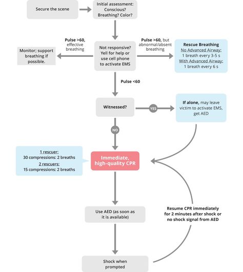 BLS Infant and Child Algorithm 1. Secure the scene. This means pulling the victim out of standing water, traffic, or other dangerous situation. You should be safe before you begin Basic Life Support. 2. Check for a response. If the victim is unresponsive and has abnormal respirations (no respirations or gasping/agonal breathing) activate EMS, yell … Acls Algorithm, Basic Life Support, Medical Training, Phlebotomy, Enroll Now, Life Support, Emergency Response, Nursing School, Nursing