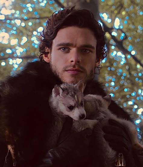 Richard Madden Game Of Thrones, Robb Stark Icon, Robb Stark Fanart, Robb Stark Aesthetic, Game Of Thrones Icons, Rob Stark, The King In The North, Game Of Thrones Oc, Stark Family