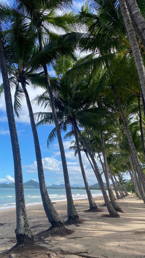 palm cove, queensland Palm Cove Australia, Palm Cove, Port Douglas, Summer 24, Cairns, Australia Travel, Queensland, Road Trip, Paradise