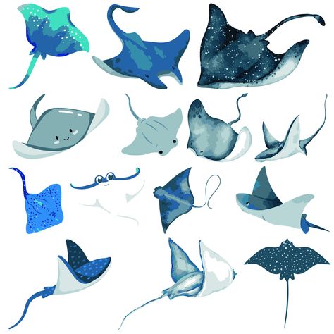 Stingray Art Design, Stingray Birthday Party, Manta Ray Design, Stingray Clipart, Ray Illustration, Stingray Design, Cute Stingray, Cowboy Oc, Ray Fish