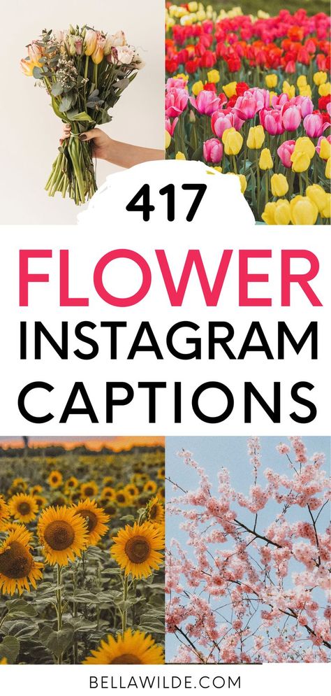 Read this post for the best flower captions for Instagram! --- aesthetic | bouquet of flowers | short captions | spring captions | summer captions | nature | flower photos Instagram Captions For Flowers Posts, Flower Post Captions, Flower Ig Captions, Floral Instagram Captions, Wildflower Instagram Captions, Flower Garden Captions For Instagram, Bouquet Of Flowers Quotes, Botanical Garden Captions, Flower Field Instagram Captions