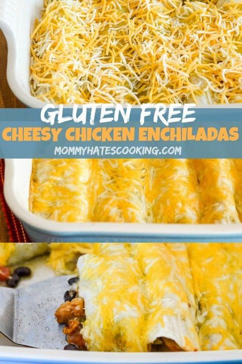 Gluten Free Chicken Enchiladas, Easy Cheesy Chicken, Gluten Free Enchiladas, Cheesy Chicken Enchiladas, Chicken Enchiladas Easy, Mexican Foods, Enchilada Recipes, Gluten Free Eating, Gluten Free Dinner