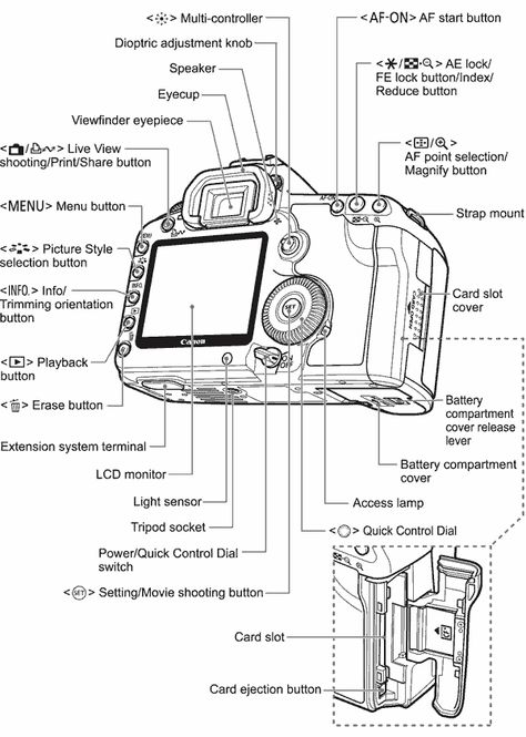 canon-eos-5d-mark-ii-diagram Canon 5d Mark Iii Cheat Sheets, Canon Eos M50 Mark Ii Cheat Sheet, Canon Eos 4000d Tips, Sandwich Infographic, Camera Parts Diagram, Canon 5d Mark 4, Understanding Photography, Camera Lens Mm Guide, Canon Camera Photography