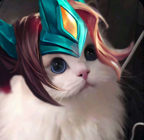 𝑴𝒍𝒃𝒃 𝒄𝒂𝒕 Mlbb Zilong Wallpaper, Zilong Mobile Legends Wallpaper, Zilong Wallpaper, Mlbb Cat Icon, Pp Mobile Legend, Zilong Mobile Legends, Zilong Mlbb, Mobile Legends Icon, Legend Cat