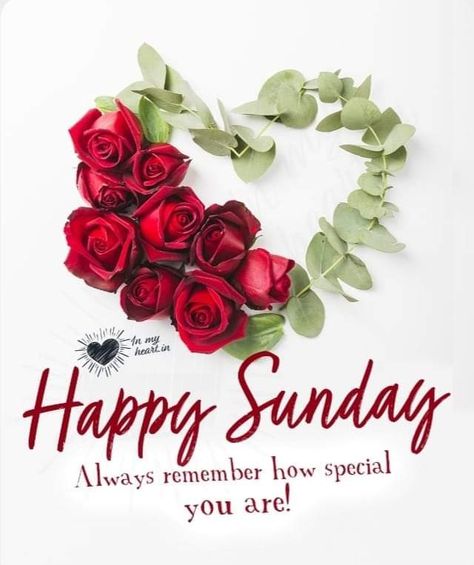 Happy Sunday Flowers, Sunday Morning Blessings, Happy Sunday Messages, Message For My Love, Sunday Morning Wishes, Happy Sunday Images, Sunday Messages, Sunday Rose, Good Morning Sunday Images