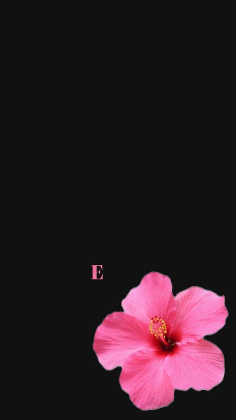 Anuel Aa Wallpaper, Initial E, Book Art Drawings, Girls Life, Hibiscus Flowers, Flower Wallpaper, Pretty Quotes, Pink Aesthetic, Black Background