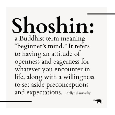 Elephant Journal on Instagram: “"Shoshin is a Buddhist term meaning 'beginner’s mind.' It refers to having an attitude of openness and eagerness for whatever you encounter…” Zen Mind Beginners Mind, Buddhist Words And Meanings, Be A Beginner Quotes, Buddhist Quotes Mindfulness, Buddha Philosophy, Mystic Feminine, Spiritual Tea, Buddhist Prayers, Buddhism Philosophy