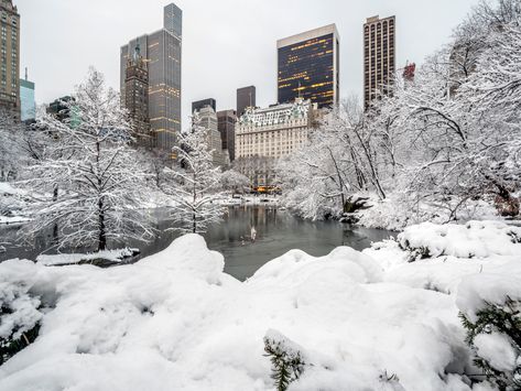 ‘One belongs to New York instantly, one belongs to it as much in five minutes as in five years’ 🗽 ― Tom Wolfe #warrentricomi #winter #NYC #newyork #citylife #luxury salon New York In February, Winter In Nyc, Nyc February, Winter Nyc, New York February, February Valentines, Unique Restaurants, Restaurant Week, Visit New York