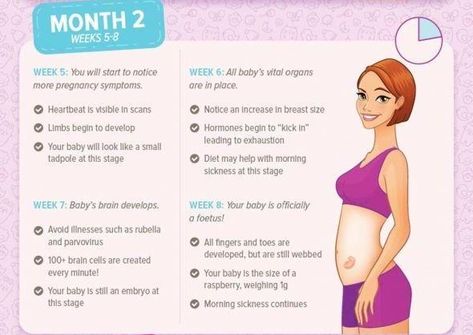 Pregnancy Month by Month - Month 2 2 Month Pregnant, Pregnancy Month By Month, Pregnancy Month, 2 Months Pregnant, Pregnancy Questions, Pregnancy Memes, Pregnancy Videos, Pregnancy Journal, Prenatal Care