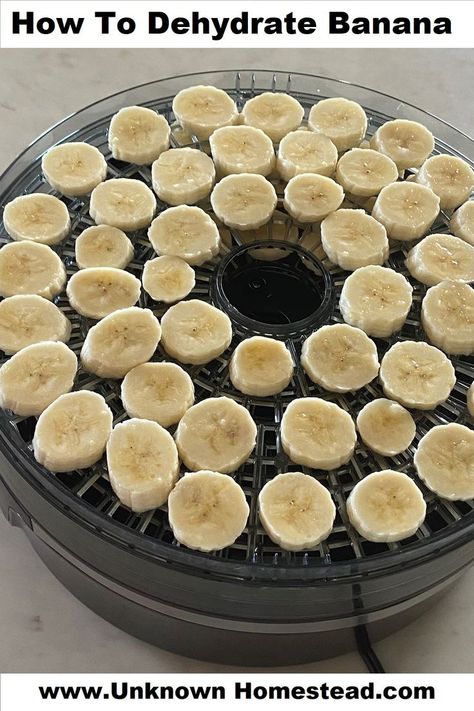 When the kids are not around, the shelf life of fresh bananas seems to shorten very quickly. One of my favorite ways to make them last longer is to dehydrate the bananas for yummy snacks! Dehydrated bananas last a long time and are still super yummy and nutritious! Dried Bananas Dehydrator, Dehydrating Bananas In Dehydrator, How To Dehydrate Bananas In Dehydrator, Banana Dehydrator Recipes, Dyhrated Banana, Dehydrated Banana Chips In Air Fryer, Dehydrate Bananas In Dehydrator, Dehydrating Apples In Air Fryer, Banana Chips Dehydrator