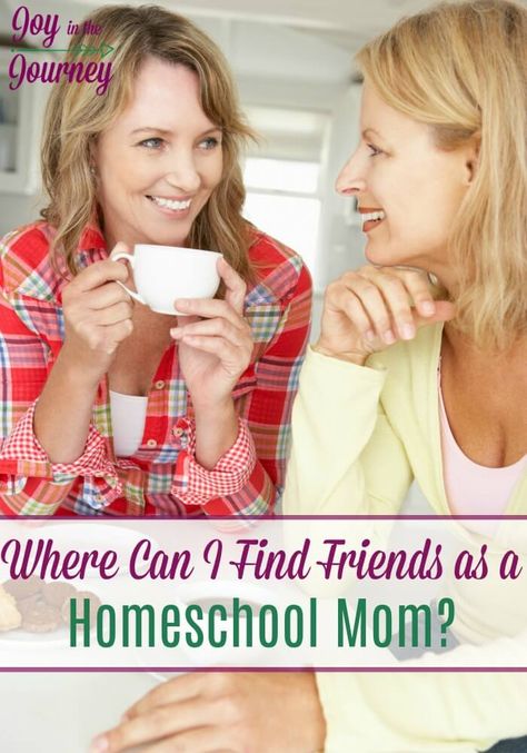 Where Can I Find Friends as a Homeschool Mom? - Joy in the Journey Spark People, Find Friends, Homeschool Mom, Fat Fast, Fun To Be One, Belly Fat, Life Changes, How To Fall Asleep, Health Tips