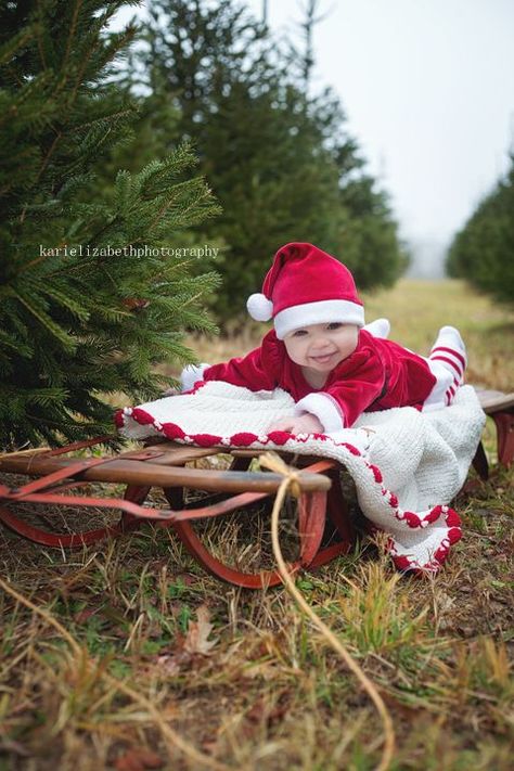 Christmas Photography Ideas, Christmas Tree Farm Pictures, Tree Farm Pictures, Christmas Photo Collage, Tree Farm Photo Shoot, Christmas Tree Farm Photos, Christmas Essentials, Baby Christmas Photos, Photography Christmas