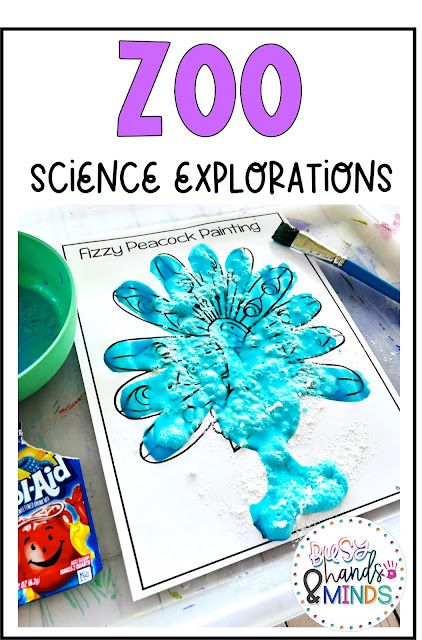 Zoo Science Explorations for Preschool Zoo Animal Science Experiment, Preschool Animal Science, Zoo Animal Science Preschool, Zoo Centers Preschool, Preschool Zoo Animal Crafts, Zoo Stem Activities, Zoo Science Activities Preschool, Zoo Sensory Bin Preschool, Preschool Zoo Activities