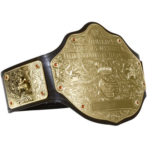 World Heavyweight Championship Wrestling Belt, Wwe Championship Belts, Wwe Belts, Jiu Jitsu Uniform, Karate Uniform, World Heavyweight Championship, Wwe Tna, Wwe World, Ric Flair