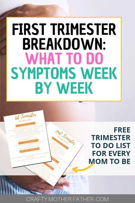 First Trimester Workout, Pregnancy First Trimester, Best Herbal Tea, Sleep Tea, 1st Trimester, All About Pregnancy, Trimesters Of Pregnancy, Herbal Teas, Pregnancy Symptoms