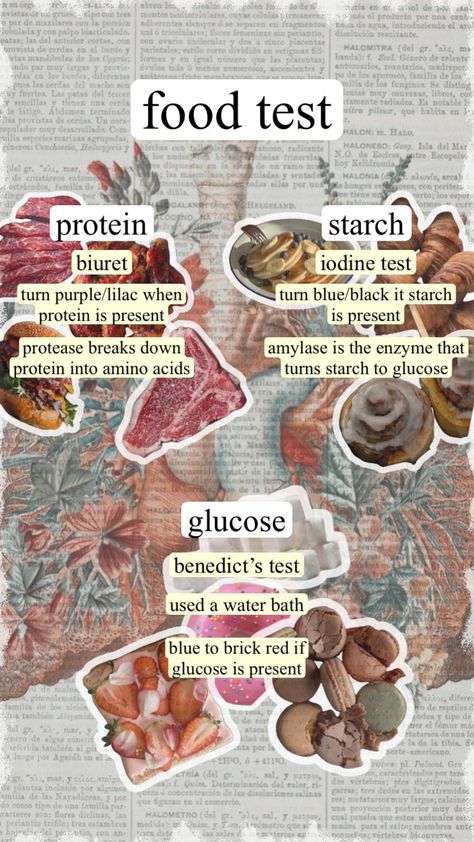 #notes #biology #food #stem #womeninstem #study Biology Food Tests Notes, Food Microbiology Notes, Food Tests Biology, Food Technology Study Notes, Food Science Aesthetic, Gcse Food Tech, Nutritional Biochemistry, Food Microbiology, Food Science And Technology