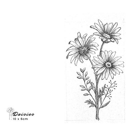 Daisies with leaves and wildflowers Daisy Tattoo Designs Vintage, Wild Daisy Tattoo, Daisies Tattoo, Daisy Tattoo Designs, Ribbon Tattoos, Daisy Tattoo, Tattoo Inspo, Flower Tattoos, Future Tattoos