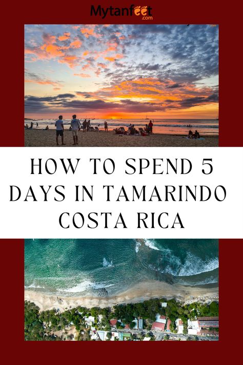 How to spend 5 days in Tamarindo, Costa Rica Costa Rica Tamarindo Things To Do, Tamarindo Beach Costa Rica, Things To Do In Tamarindo Costa Rica, Costa Rica Tamarindo, Costa Rico, Cost Rica, Costa Rica With Kids, Costa Rica Wildlife, Costa Rica Travel Guide