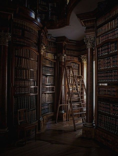 England Aesthetic, Beautiful Library, Old Library, Library Aesthetic, Aesthetic Dark Academia, Dream Library, Morgan Library, Dark Academy, Hogwarts Aesthetic