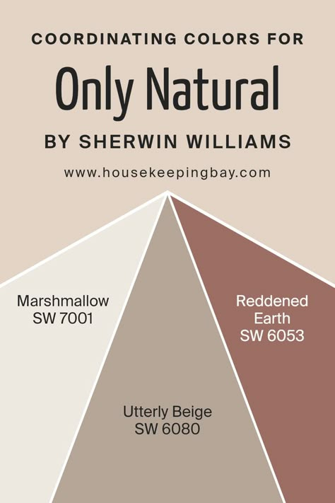 Only Natural SW 7596  Coordinating Colors by Sherwin Williams Utterly Beige Sherwin Williams Exterior, Balanced Beige Coordinating Colors, Sw Reddened Earth, Sherwin Williams Reddened Earth, Reddened Earth Paint, Redend Point Color Sherwin Williams, Dining Room Turned Office, Balanced Beige, Office Paint Colors