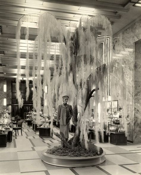 There's an Iconic Art Deco Department Store Frozen in Time inside an LA Law School Glamour Decor, Dog Area, Iconic Art, Store Windows, Vintage Los Angeles, Art Deco Architecture, Frozen In Time, Department Stores, Store Displays