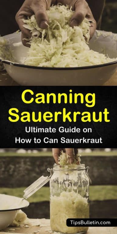 Canning Homemade Sauerkraut, Saurkraut Recipes Mason Jar, How To Can Sauerkraut Mason Jars, Water Bath Canning Sauerkraut, How To Can Sour Kraut, Canning Sauerkraut Recipes Mason Jars, Saurkraut Recipes Canning, Canning Kraut In Jars, Canning Sour Kraut Water Bath