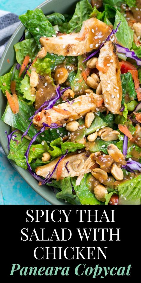 Panera Copycat, Meals Chicken, Thai Chicken Salad, Thai Salad, Salad With Chicken, Thai Salads, Thai Chili, Savory Salads, Spicy Thai