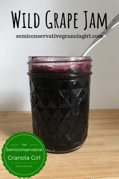 Wild Grape Jam Recipe, Wild Grape Jelly Recipe, Grape Jam Recipe, Homemade Grape Jelly, Wild Grapes, Grape Jam, Produce Recipes, Jam Recipes Homemade, Grape Recipes