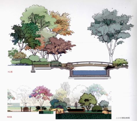 Landscape Architecture Diagram, Landscape Design Drawings, Tree Watercolor Painting, Landscape Architecture Drawing, Architecture Elevation, Architecture Concept Diagram, Architecture Sketchbook, Landscape Sketch, Architecture Design Drawing