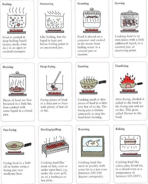 Visual guide to types of cooking Cooking Knowledge Cheat Sheets, Cooking Methods Chart, Types Of Cooking Methods, Baking Knowledge Chart, Internal Cooking Temperature Chart, Cooking Crafts, Basic Cooking, Food Knowledge, Diy Cookbook