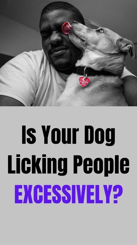 Have you ever wondered why dogs lick their owners? In this article, we’ll discuss nine most common reasons why dogs lick people, how to stop it if it’s annoying you, and what to do if your dog is licking excessively.  Why do dogs lick people?  Find out which of these nine reasons explain why your dog is licking you!

9 Reasons Why Dogs Lick People | Dog Licking Excessively | How to Stop Dog Licking Why Do Dogs Lick, Dog Obsessed, Dog Behavior Problems, Dog Training Techniques, Aggressive Dog, Behavior Problems, Dog Biting, People Sitting, Obedience Training