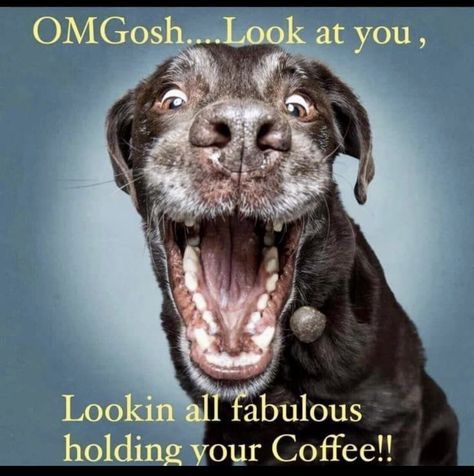 Funny Thursday Images, Kameron Marlowe, Pet Sayings, Coffee Zone, Morning Smile, Disorder Quotes, Coffee Sayings, Coffee Jokes, Funny Day Quotes