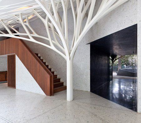 Glass Office, Bay House, Pedestrian Bridge, Organic Architecture, White Tree, Space Planning, Organic Modern, Tree Art, Ceiling Design