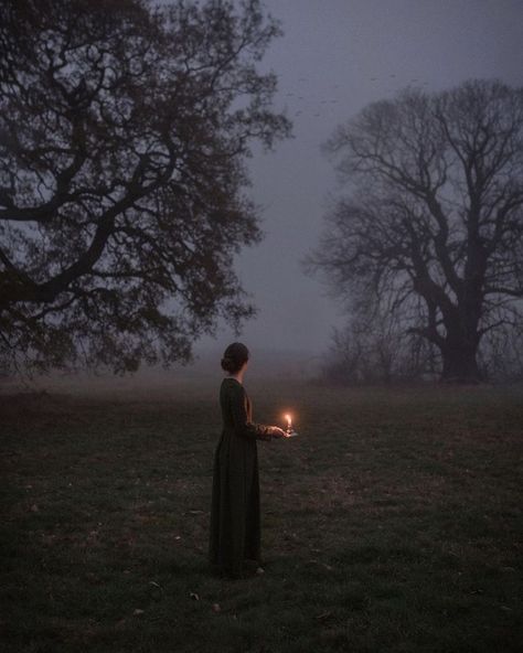 Foggy Night, At Night, A Woman, Trees, Tumblr