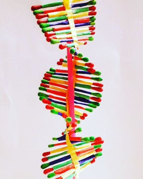 Model For School Project, Dna Model Project, Cell Model Project, Dna Structure, Biology Lab, Dna Project, Cell Model, Biology Labs, Dna Model