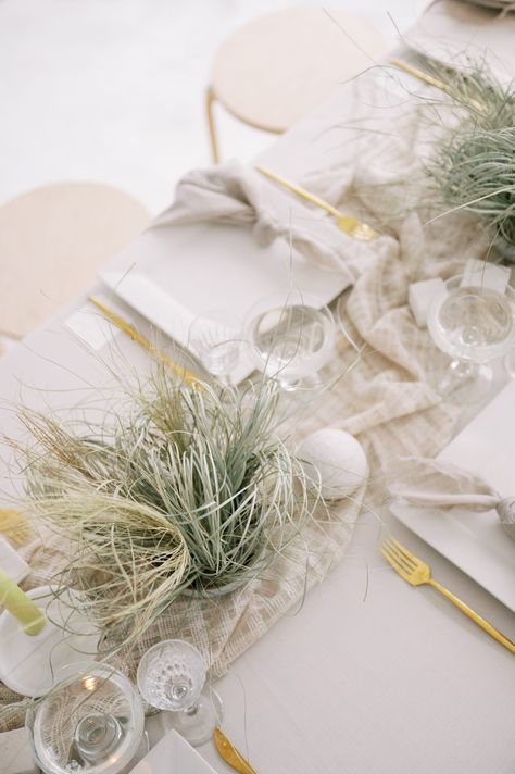 Beach Grass Wedding Centerpieces, Seagrass Wedding Decor, Minimalist Coastal Wedding, Beach Centerpiece Wedding, Beach Grass Wedding, Beige Tablescape, Coastal Floral Arrangements, Coastal Florals, Earthy Wedding Decor