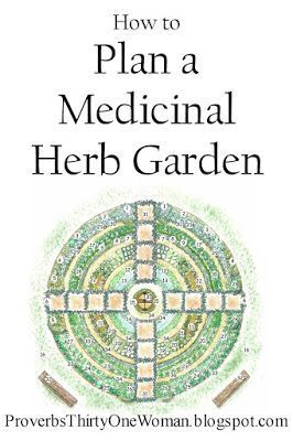 Medical Herb Garden, Medicinal Herb Garden, Medicine Garden, Medicinal Herbs Garden, Medical Herbs, Medicinal Garden, Healing Garden, Medicinal Herb, Herbs Garden