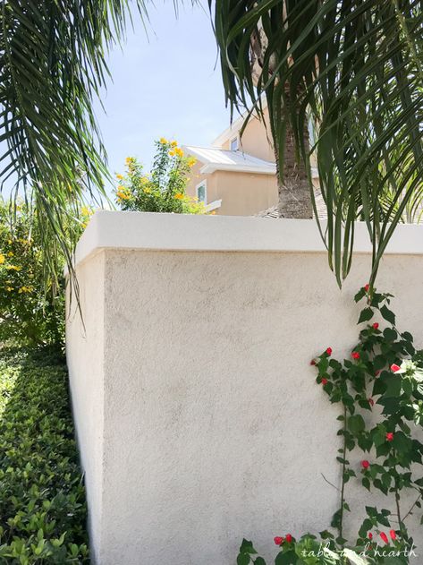 See how this blogger had a stucco wall border added to update a crumbling boring stucco wall! www.tableandhearth.com Stucco Landscape Wall, Stucco On Cinder Block, Stucco Pool Wall, Stucco Exterior Wall Fence, Plaster Garden Wall, Stucco Backyard Wall, Stucco Walls Outdoor, Stucco Walls Backyard, Stucco Fence Wall