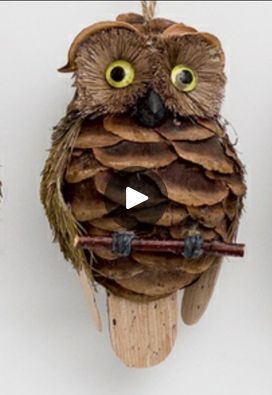 Pine Cone Owl Ornament 🦉 | Cutest Owl from Pine Cone, Natural Ornament 🦉DIY Craft Activities 🦉 | By DecorationFacebook Pine Cone Squirrel Craft, Pine Cone Turkey Craft, Natural Ornaments Diy, Owl Crafts For Adults, Diy Owl Crafts, Snowy Owl Pinecone Craft, Pine Cone Owls, Owl Nature Craft, Pinecone Animals