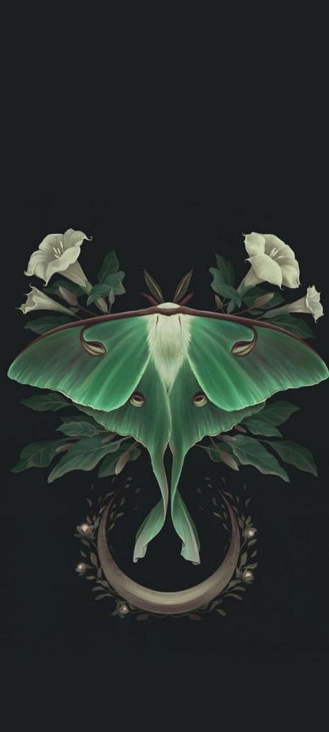 Witchy Wallpapers, Moth Wallpaper, Green Witch Aesthetic, Cute Moth, Wallpaper And Widgets, Fun Wallpapers, Witch Wallpaper, Dark Forest Aesthetic, Moth Art