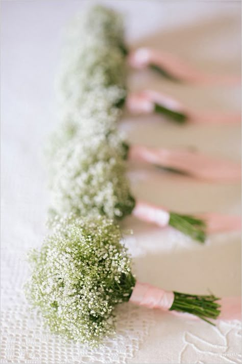 babys breath bouquets for bridesmaids with purple ribbon or ivory? I would have a purple bouquet. Groom wears ivory flowers and groomsmen wear purple or baby's breath? Babys Breath Bouquets, Tafel Decor, Babies Breath, Portugal Wedding, Wedding Chicks, Deco Floral, Baby's Breath, Bridesmaid Bouquet, The Flowers