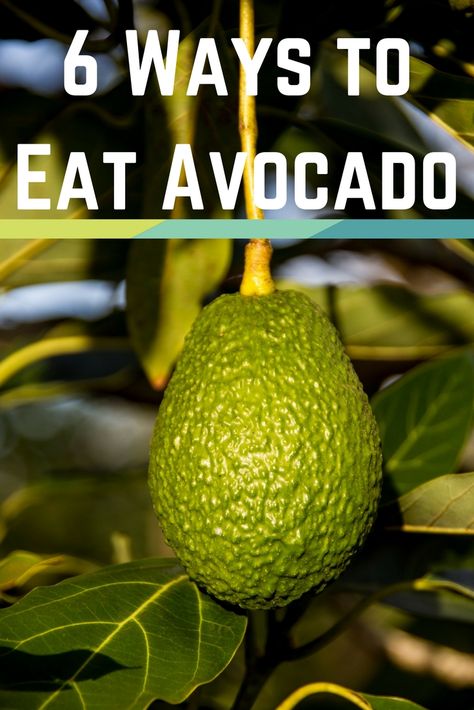 Best Way To Eat Avocado, Ways To Eat Avocado Snacks, How To Eat Avocado, Ways To Eat Avocado, Raw Food Diet Plan, Avocado Recipes Healthy, Avocado Benefits, Organic Agriculture, Avocado Health Benefits