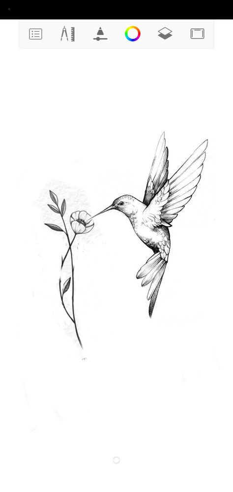 Simple Bird And Flower Tattoo, Hummingbird Tattoo With Tulips, Poppy Flower And Hummingbird Tattoo, Hummingbird Poppy Tattoo, Hummingbird With Poppy Tattoo, Hummingbird Tattoo Side Ribs, Hummingbird Tattoo With Flowers Black And White, Long Tail Hummingbird Tattoo, Humming Bird With Flower Tattoo