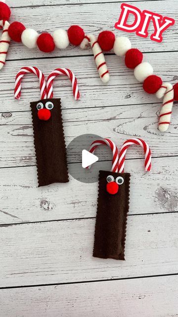 The Cozy Christmas Cottage on Instagram: "Run run Rudolph ❤️ Quick and easy Christmas craft! Add real candy canes for a gift idea or faux plastic ones for a cute yearly Christmas tree ornament 💡  FOLLOW FOLLOW FOLLOW  For more Christmas ideas  @thecozychristmascottage   #christmas #christmascraft #christmasproject #felt #feltcraft #reindeer #rudolph #candycanes #diy #craft #thecozychristmascottage" Reindeer Candy Canes Craft, Candycanes Diy, Diy Candy Cane Ornaments, Cozy Christmas Cottage, Tin Decorations, Run Run Rudolph, Easy Christmas Craft, Candy Cane Crafts, Reindeer Craft