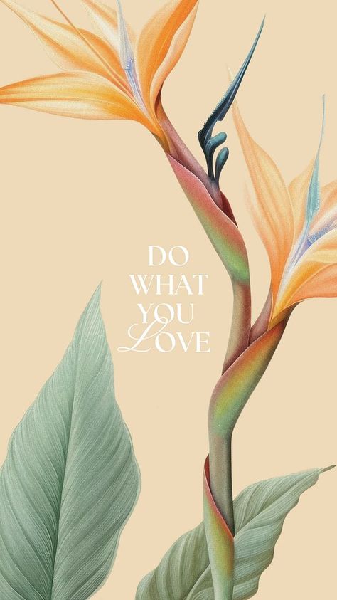 Do what you love quote Facebook story template | free image by rawpixel.com / Aew Do What You Love Wallpaper, Pastel Green Iphone Wallpaper, Do What You Love, Green Iphone Wallpaper, Iphone Wallpaper Pastel, Facebook Story, Wallpaper Quote, Tropical Illustration, Wallpapers For Mobile Phones