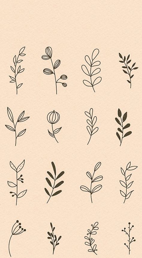 Different Types Of Leaf Drawing, Herbs Drawing, Tattoo Writing Styles, Circus Illustration, Vine Drawing, Abstract Art Projects, Calligraphy Doodles, Plant Doodle, Easy Flower Drawings