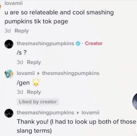 Pumpkin Meme, Tiktok Screenshots, Silly People, The Smashing Pumpkins, Meme Meme, Mindless Self Indulgence, Gods Not Dead, I'm Crazy, Smashing Pumpkins