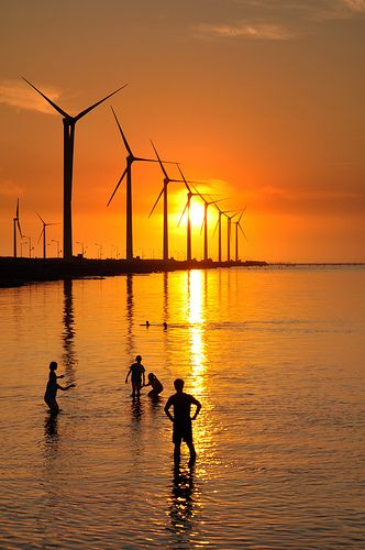 windpower, Taichun, Taiwan Solar Products, Taichung Taiwan, Mangrove Swamp, Old Windmills, Outdoor Pictures, Wind Turbines, Taiwan Travel, Choi Min Ho, Wind Farm